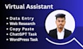 be your reliable virtual assistant for data entry, data mining, copy paste tasks