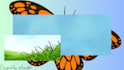 design custom laptop wallpaper