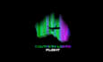design unique southern lights flight colorful logo