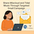 promote your mixcloud, tidal music through targeted email campaign