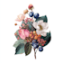 draw realistic botanical watercolor illustration