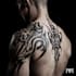 create a professional tribal tattoo design