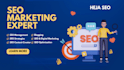 deliver a senior SEO audit with a prioritised 90 day action plan