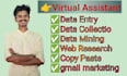 excel data entry and typing work with accuracy