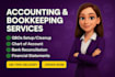 do accounting, bookkeeping and cleanup in quickbooks online