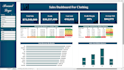 create professional and dynamic visuals and dashboards