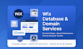 do wix website, domain connection, dynamic page, wix database, transfer domain