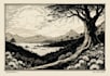 create unique linocut illustration