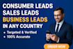 provide hot consumer leads sales leads b2b leads database business leads