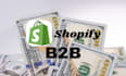 build and design a shopify b2b wholesale shopify store