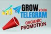 do crypto telegram subscribers, telegram ads telegram followers, crypto investor
