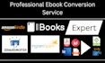do ebook conversion from  PDF and word into epub