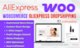 setup aliexpress woocommerce dropshipping store build alidropship website