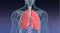create 3d medical animation, 3d surgery animation, 3d anatomy animation