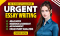 do urgent essay writing, paper, summary, assignment and case analysis