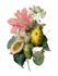 create a botanical illustration