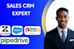setup zendesk, salesforce, hubspot, pipedrive, zoho CRM and sales automation