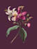 draw a scientific illustration
