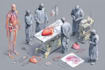 draw your medical illustration