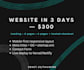 deliver a conversion focused website in 72 hours