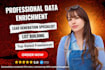 do professional data enrichment, linkedin research, and data mining