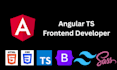 build fast responsive custom angular websites and apps