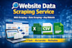 do web scraping and data scraping from websites
