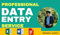 do excel data entry, copy paste and website data entry tasks