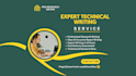 write research summaries and technical docs with 12 hour delivery