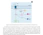 copyedit scientific manuscripts and grants