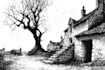 draw black and white illustrations