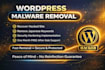 remove malware, virus, and clean the website