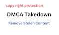 file dmca takedowns and remove stolen content fast