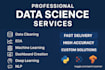 do data science and machine learning project for you