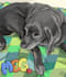 draw your pet as a cartoon
