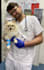 write professional veterinary articles and pet health posts