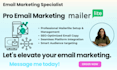 automate professional email campaigns with mailerlite