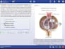 teach you firstaid uworld nbme amboss for usmle step 1 and 2