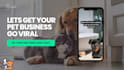 create viral pet meme viral videos
