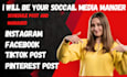create and schedule social media posts via social bee, houtsuite