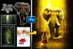 do adobe photoshop photo manipulation and picture editing