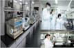 provide dietary supplement contract manufacturing, oem odm formulation