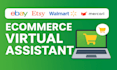 be your professional ecommerce virtual assistant