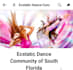 professional jumpseller, stan store substack website design and beehiiv website