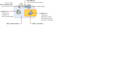 do active directory group policy