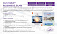 prepare an investor ready business plan summary