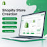 create a professional shopify store with SEO and facebook and instagram ads