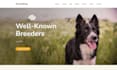 build squarespace dog walker website exotic pet care website pet adoption site