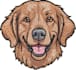 digitize your live image or photo into dst, pes,exp, and cnd