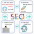 top rank your website with extreme seo v5